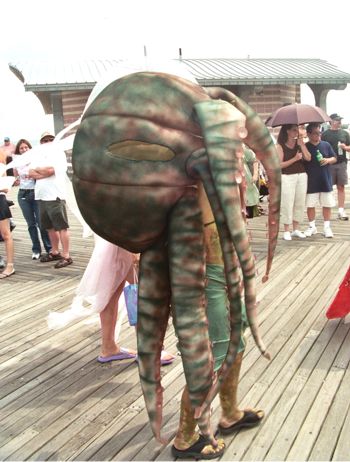 Octopus Injuries