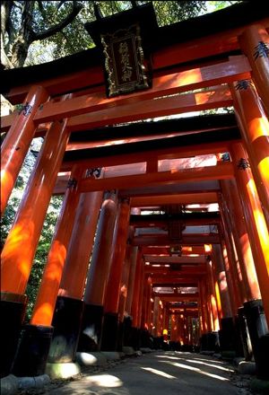 Torii gates at Fushimi Inaria
