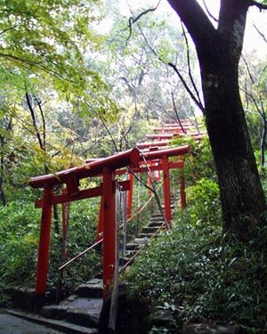Torii gates at Fushimi Inaria