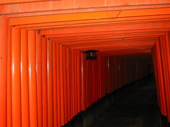 Tom Plant's photo of a torii tunnel